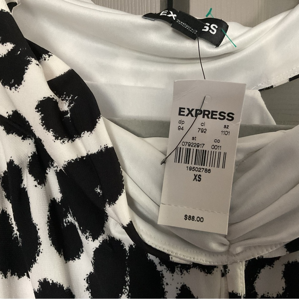 Express Zebra Patterned Dress - Picture 5 of 6
